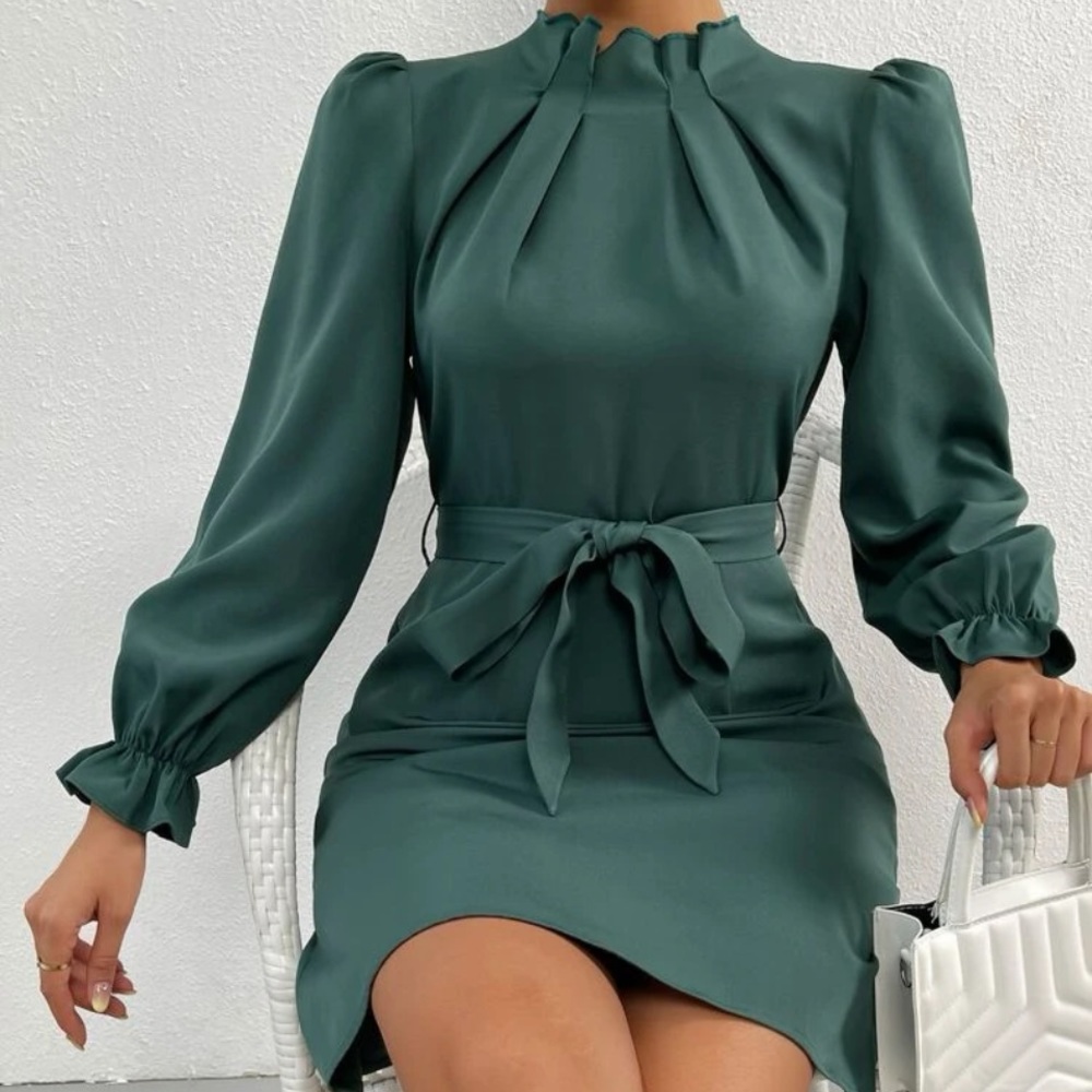 Large Frenchy Flounce Sleeve Belted Dress